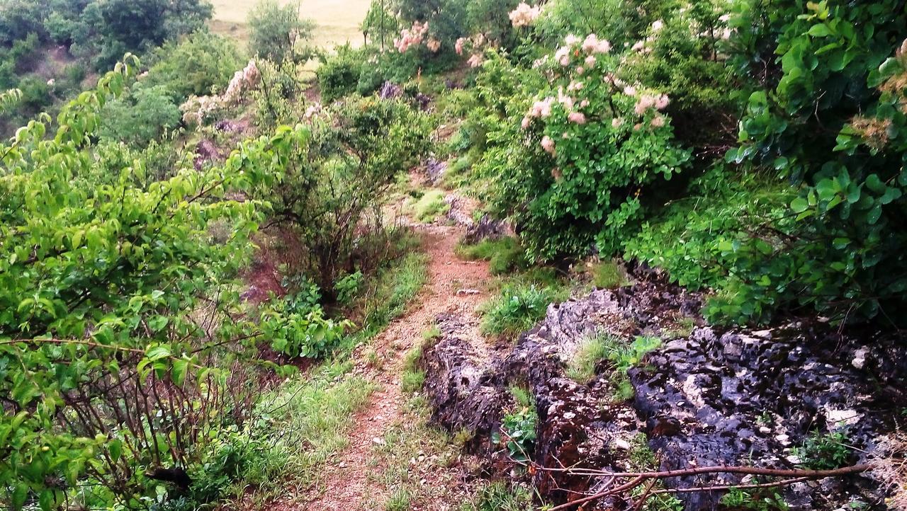 Una Canyon Paradise Bihać Buitenkant foto
