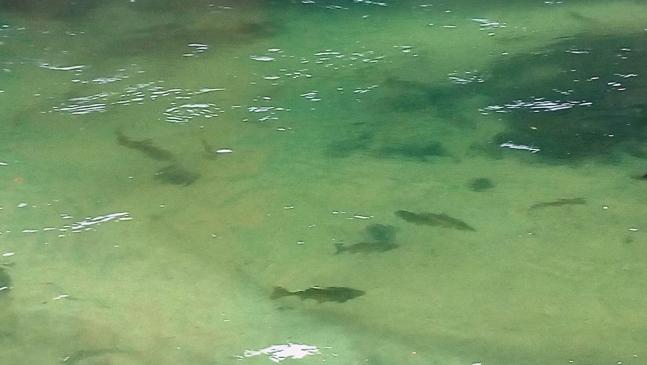 Una Canyon Paradise Bihać Buitenkant foto